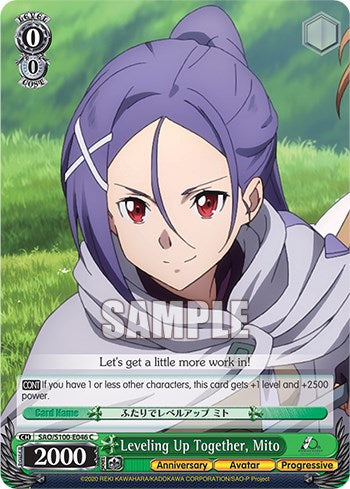 Leveling Up Together, Mito [Sword Art Online Animation 10th Anniversary]