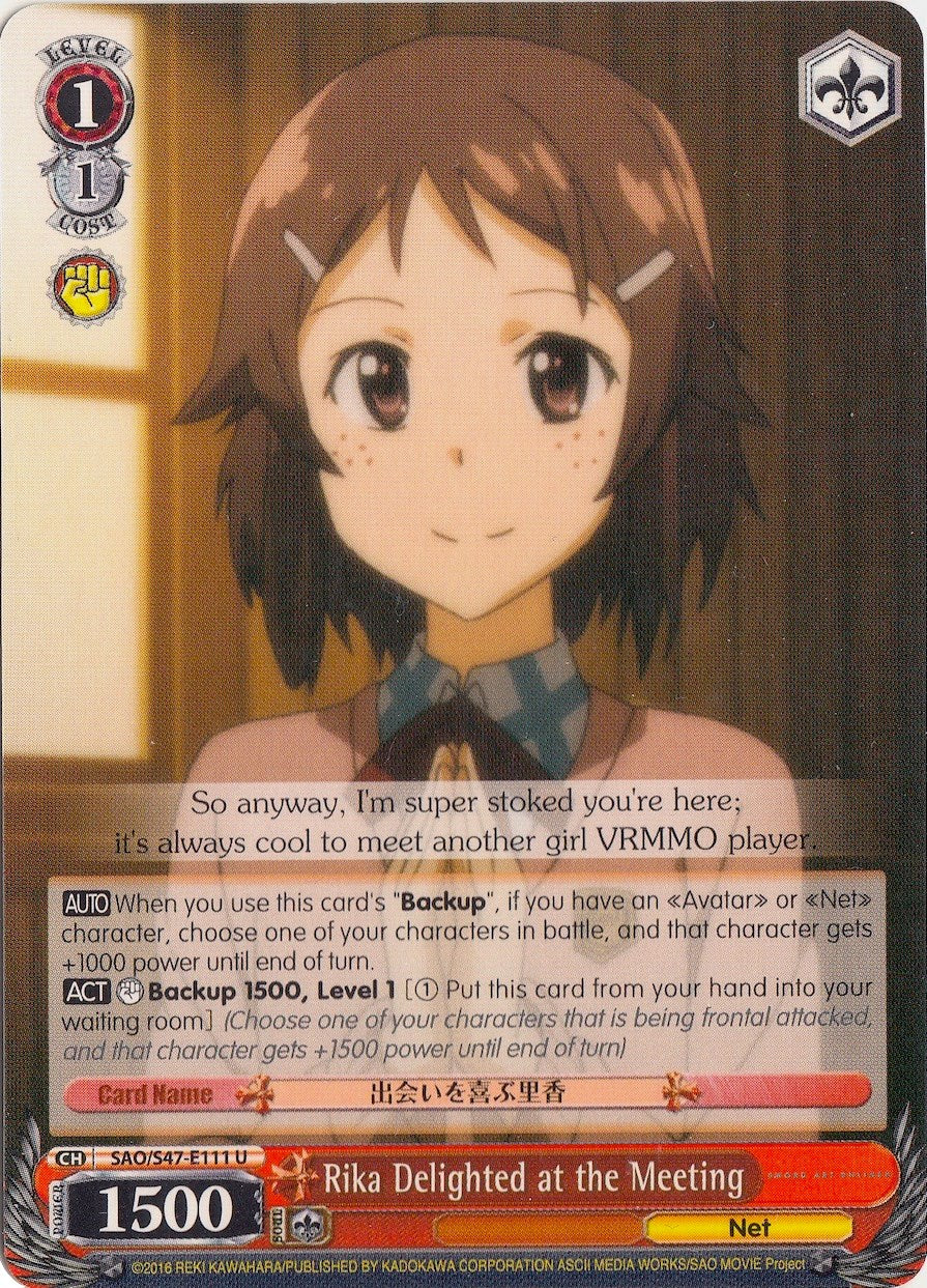 Rika Delighted at the Meeting (SAO/S47-E111 U) [Sword Art Online Re: Edit]